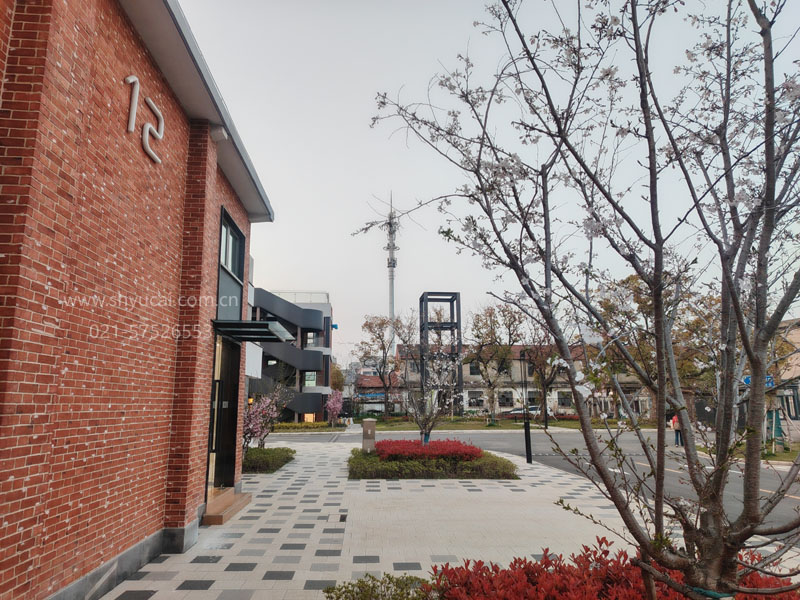 上海国际高中 上海国际高中